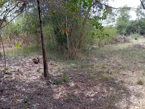 A 50 by 100 Plot on Sale