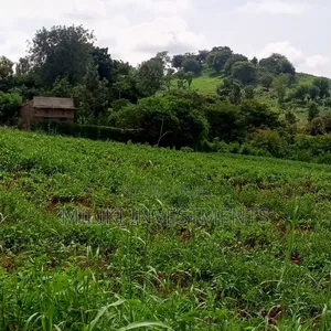 10 Acres for Sale at Meru-Nkubu-Mitunguu