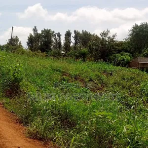 10 Acres for Sale at Meru-Nkubu-Mitunguu