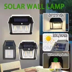 Solar Rechargeable Motion Sensor_dav