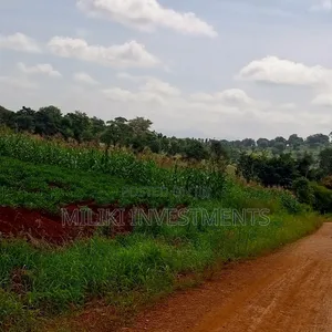 2 Acres for Sale at Nkubu-Mitunguu