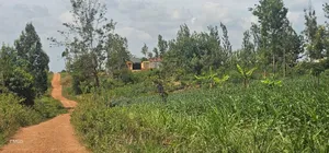 40 by 80 Plots on Sale at Kenol, Kimorori