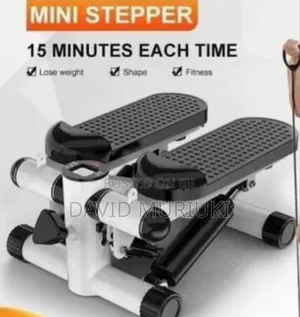 The Mini Stepper With Resistance Bands