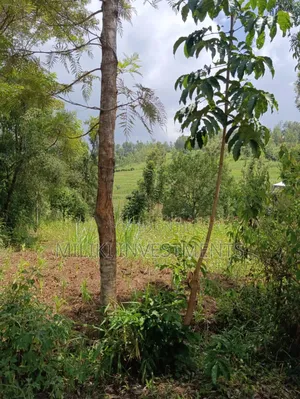 Half an Acre on Sale at Makuyu-Mihang'o