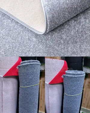 Bright Grey Wall to Wall Carpets in Homedecor