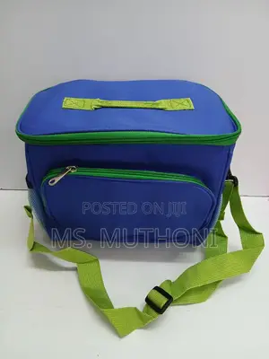 Big Foldable Insulated Lunch Bag for Men Women,