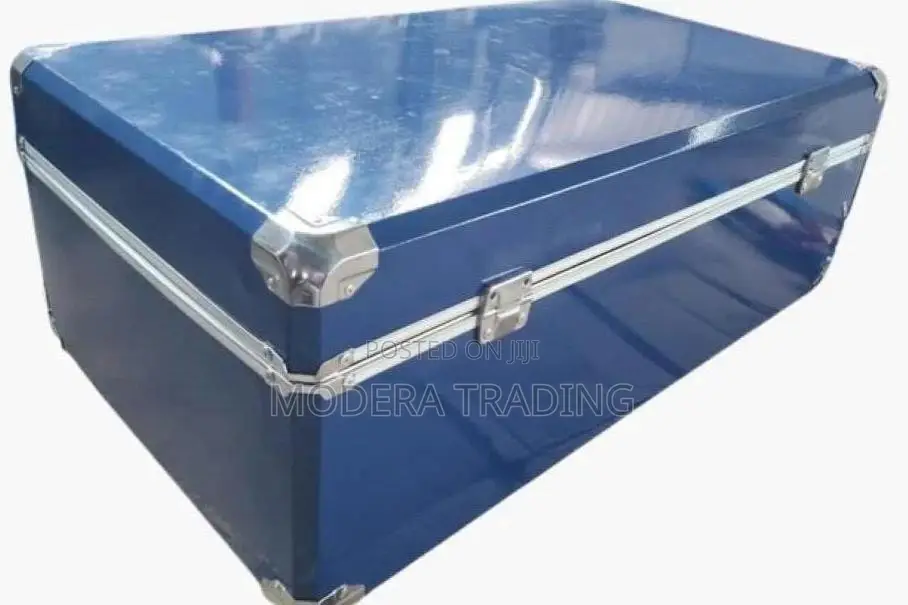 Premium Metallic School Box- 