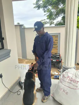 Dog Grooming