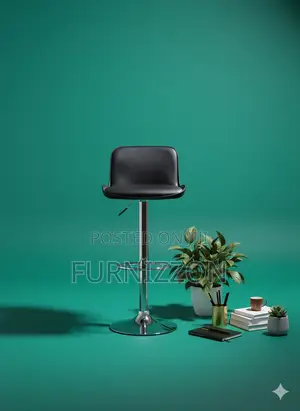 Modern Black Plastic Stool With Backrest and Adjustable Height