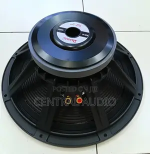 Derwel 15inch Naked Speaker