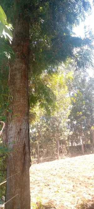 Land for Sale Ngong Karen