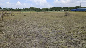 40×80 . 250mtrs From Eastern Bypass 8km From Kamakis