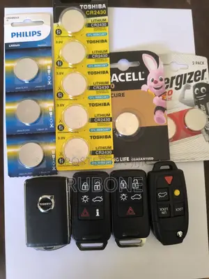 Volvo Keys and Key Fob and Batteries
