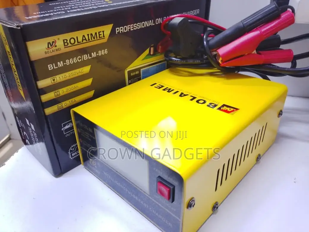 Automatic Pulse Repair Battery Charger