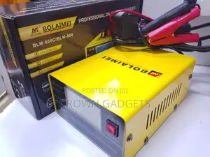 Automatic Pulse Repair Battery Charger