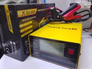 Automatic Pulse Repair Battery Charger
