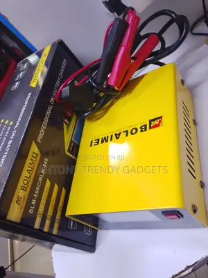 Professional Bolaimei Smart Battery Charger 110–250v Input