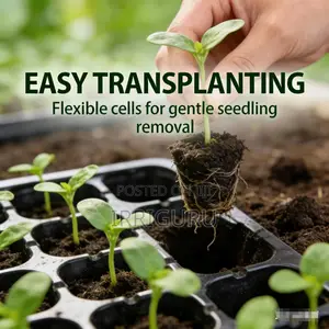Innovatively Designed Seedling Tray, Makes Growing Easier Than Ever
