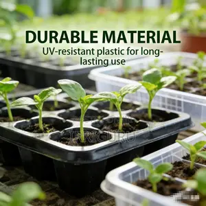 Multicolor Seedling Plug