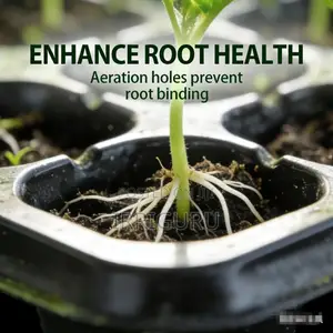 Rapid Seedling Tray, Speeds Up The Entire Growth Cycle