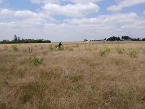 1 Acre Prime Land - Kitengela