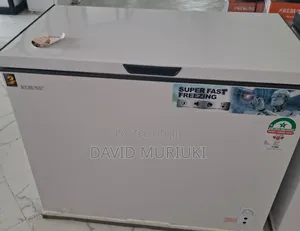 The Rebune 200 Litres Deep Freezers