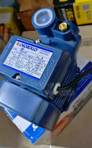 Electric Pedrollo Water Pump (0.5)/Pedrollo Water Pump Pkm60