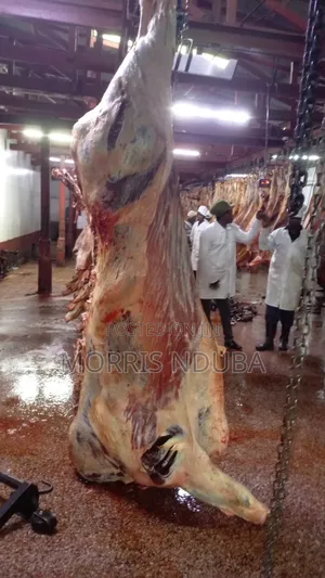 Beef, Stake, Mince Meat, Kichwa Ya Ng'ombe