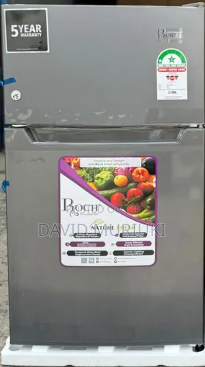 90 Litres Roch Double Doors R-115 Dt-1 Refrigerators