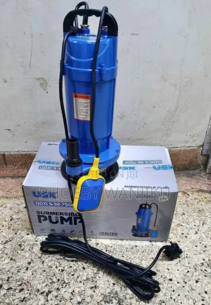 Shallow Well Water Pump/Submersible Usk Water Pump