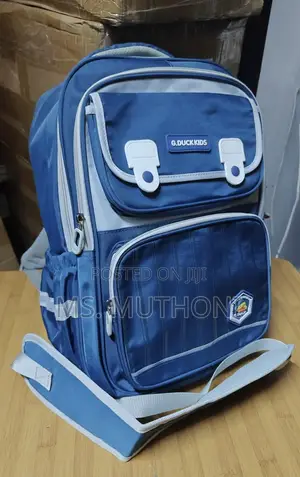 Quality Children School Bag With Spine / Back Protection (Orthopedic)
