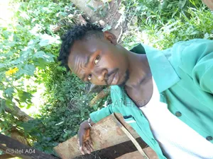 Looking for Job