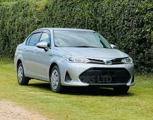 Toyota Axio 2018 Gray