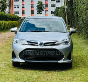 Toyota Axio 2018 Gray