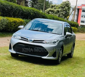 Toyota Axio 2018 Gray