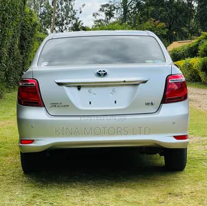 Toyota Axio 2018 Gray