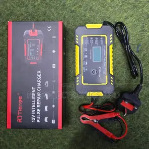 Durable Battery Charger 2v