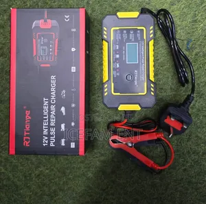 Intelligent Battery Charger/12v Intelligent Pulse Repair Charger
