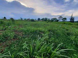 100 X 100 Residencial/ Commercial Plot Githunguri Kiambu County