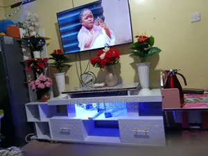 Tv Stand and Flowers Rack