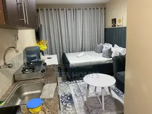 Nicely Furnished Studio Airbnb in Ruaka