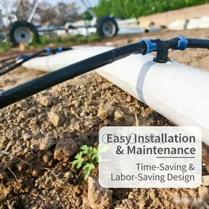 Best Irrigation for Tomatoes