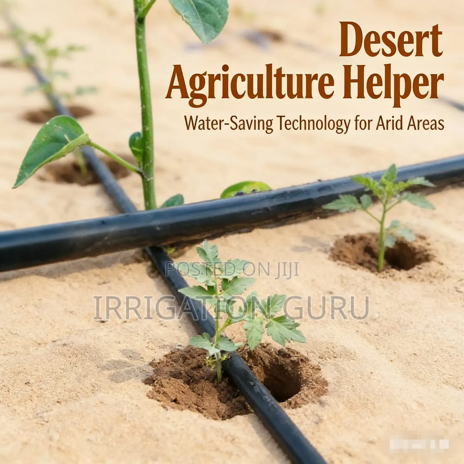 Imported Irrigation Drip