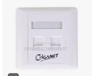 Giganet Dual Faceplate