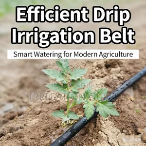 Water Droplets to the Root