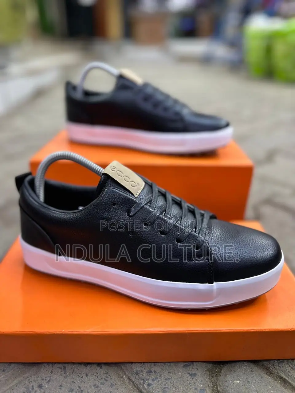 Ecco for Men Casual Shoes