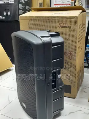 Soundking 15inch Midrange Speaker