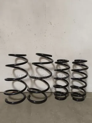 Toyota Vanguard Heavy-Duty Coil Springs