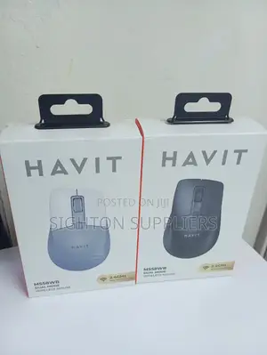 Havit Ms58wb Dual Mode Wireless Mouse