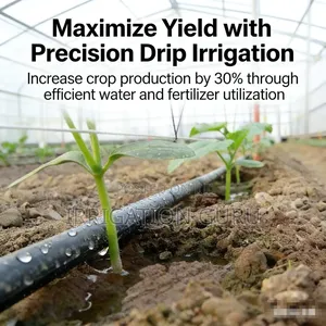 Best Dry Land Watering Method for Farming